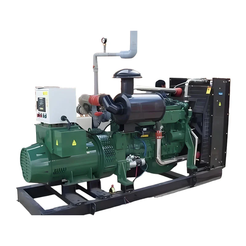 100kW 바이오 가스 생성기